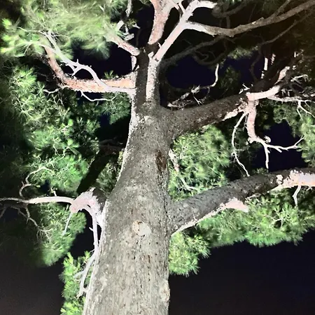 Calm Private Garden Seaview Shared Pool Parking Apartmán Bandol