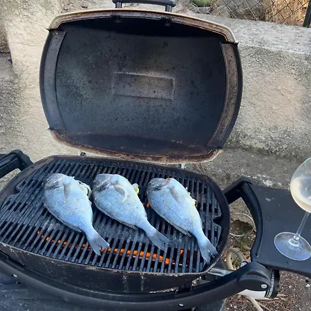 Calm Private Garden Seaview Shared Pool Parking 公寓 邦多勒