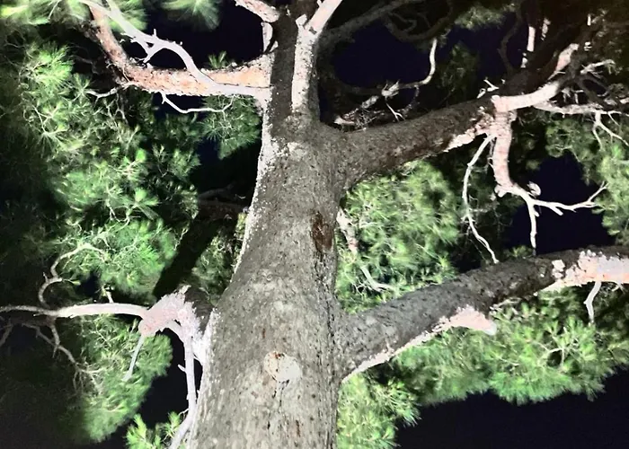 Calm Private Garden Seaview Shared Pool Parking Appartement Bandol